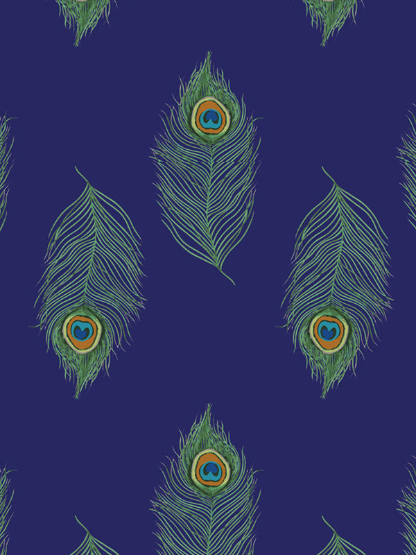 Peacock Feather Print gift voucher