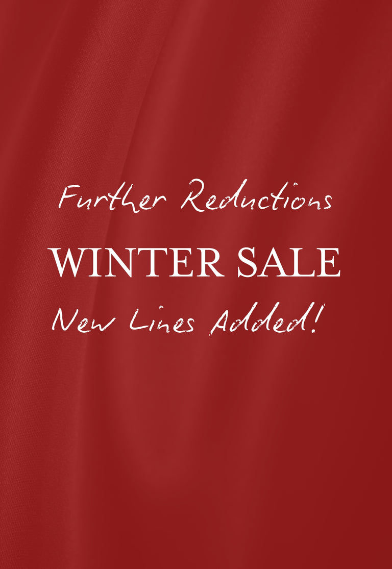Red background with white text announcing a winter sale.