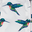 white hummingbird